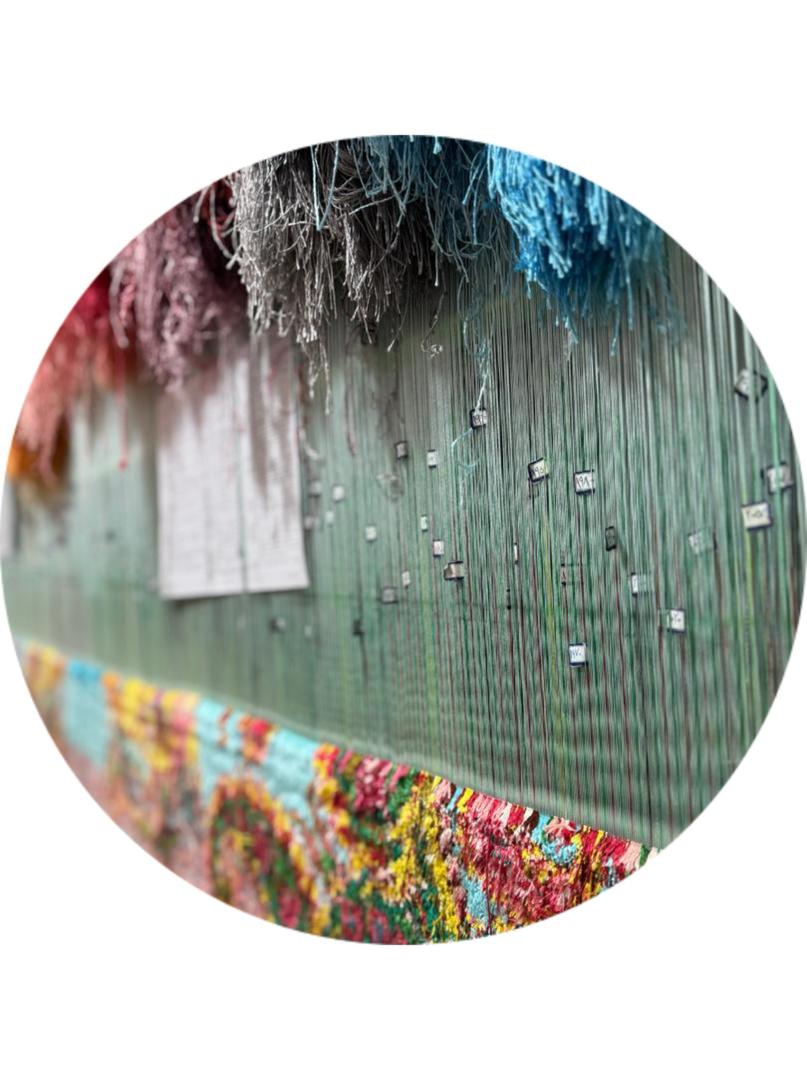 شرکت بوریا درویش