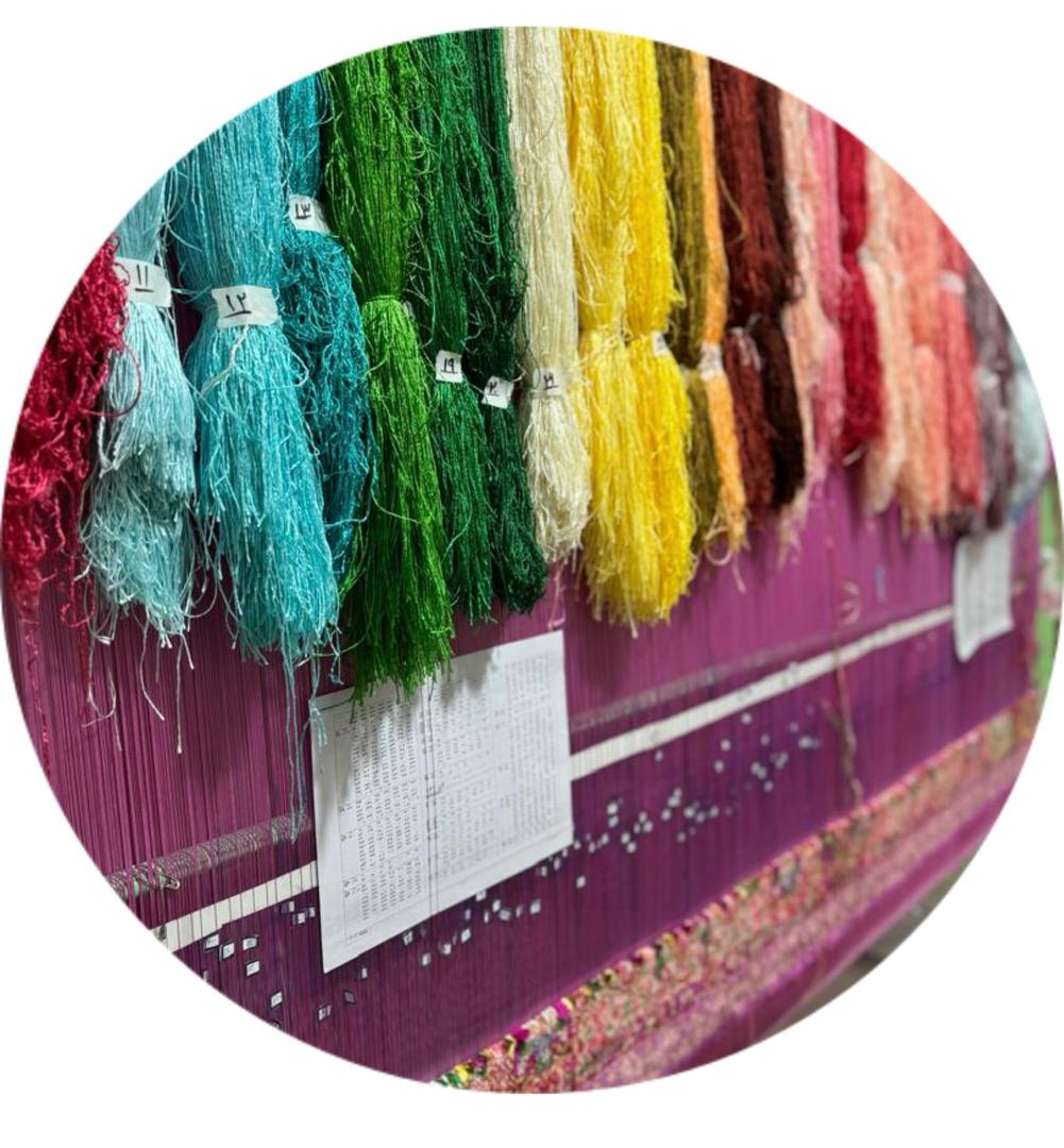 شرکت بوریا درویش